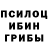 Галлюциногенные грибы Magic Shrooms John Jovi