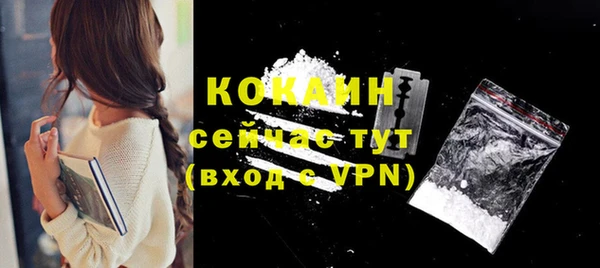 дживик Абаза