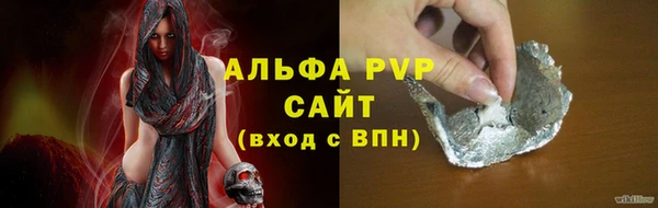 шишки Снежногорск
