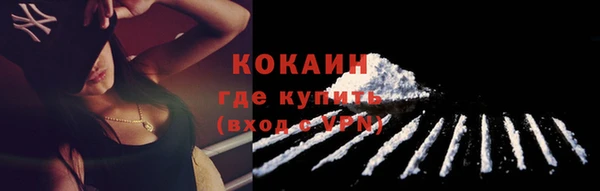 крисы Слюдянка