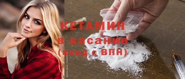 шишки Снежногорск