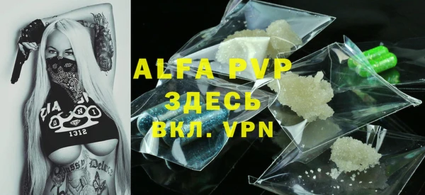 дживик Абаза