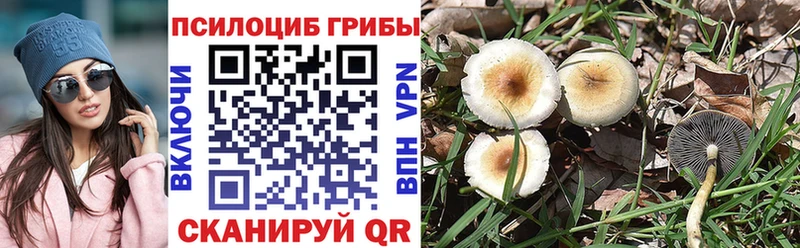 Галлюциногенные грибы мухоморы купить сайты hydra маркетплейс Зубцов